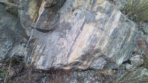 Гигантские зелёные валуны для ландшафтного дизайна весом более 5 тонн купить в Калужской области